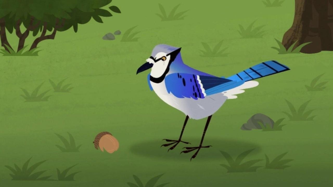 Wild Kratts The Blue and the Gray | On PBS Wisconsin