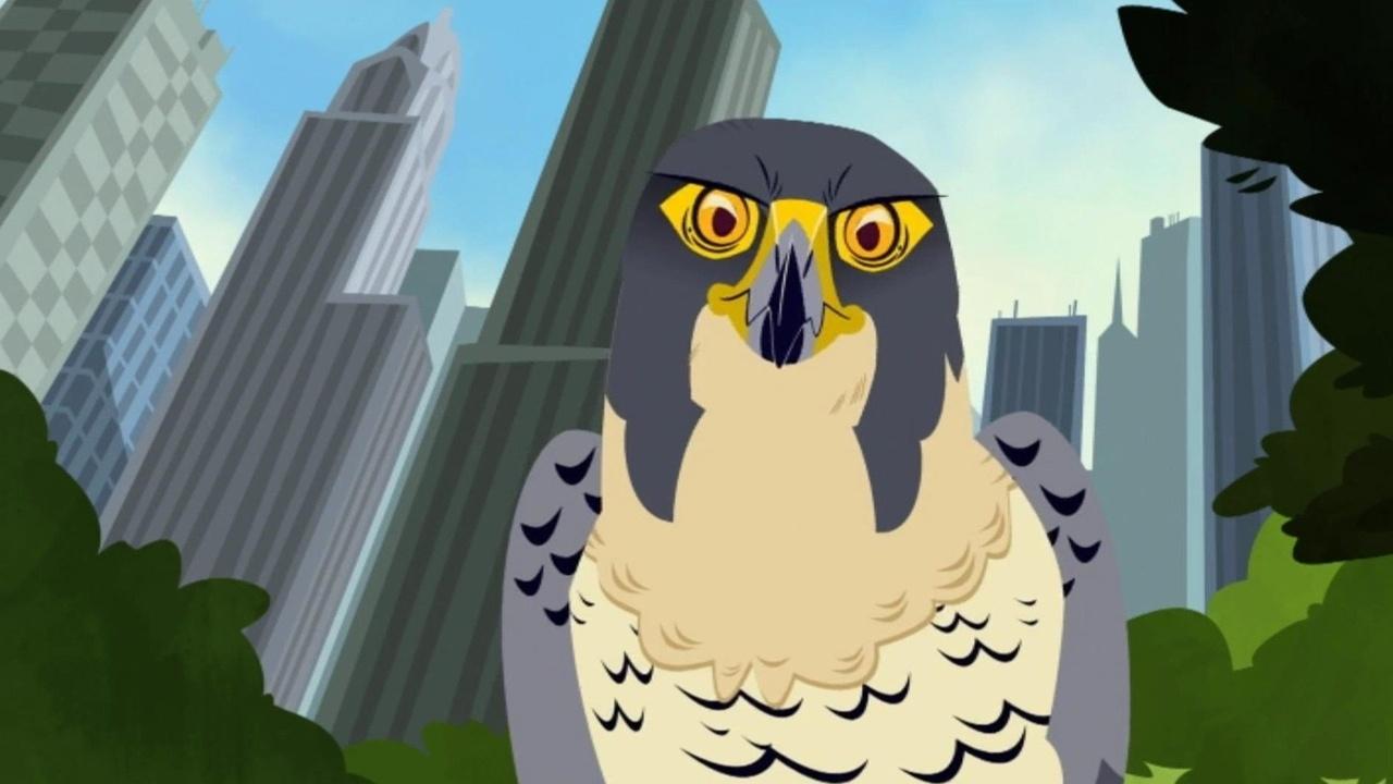 Wild Kratts Falcon City