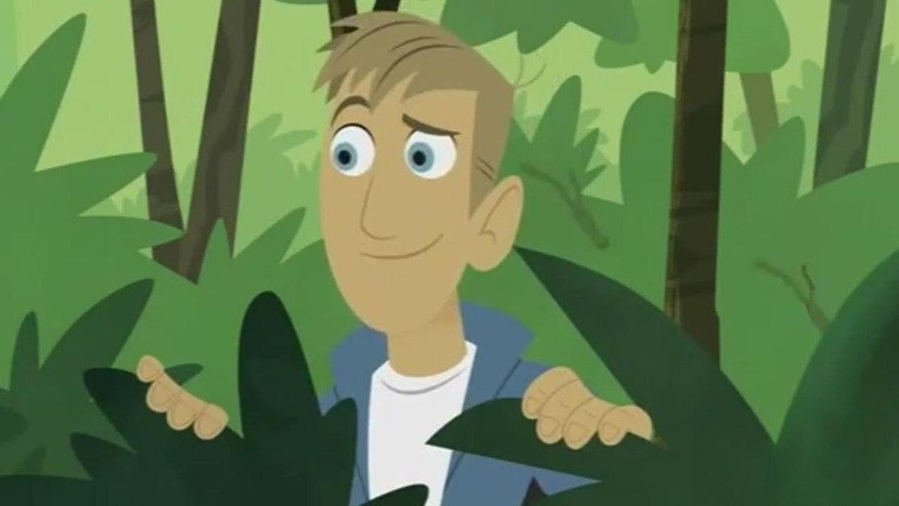 Wild Kratts Birds of a Feather