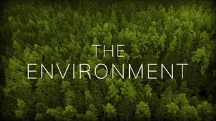 The Environment