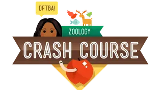 Crash Course Zoology