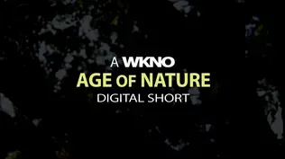 WKNO Age of Nature