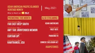 Asian American Pacific Islander Stories