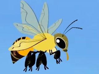 African Honey Bee | Wild Kratts | PBS LearningMedia