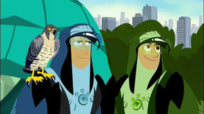 Image result for wild kratts falcon