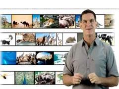 Watch: Dinosaur Train Ecosystems