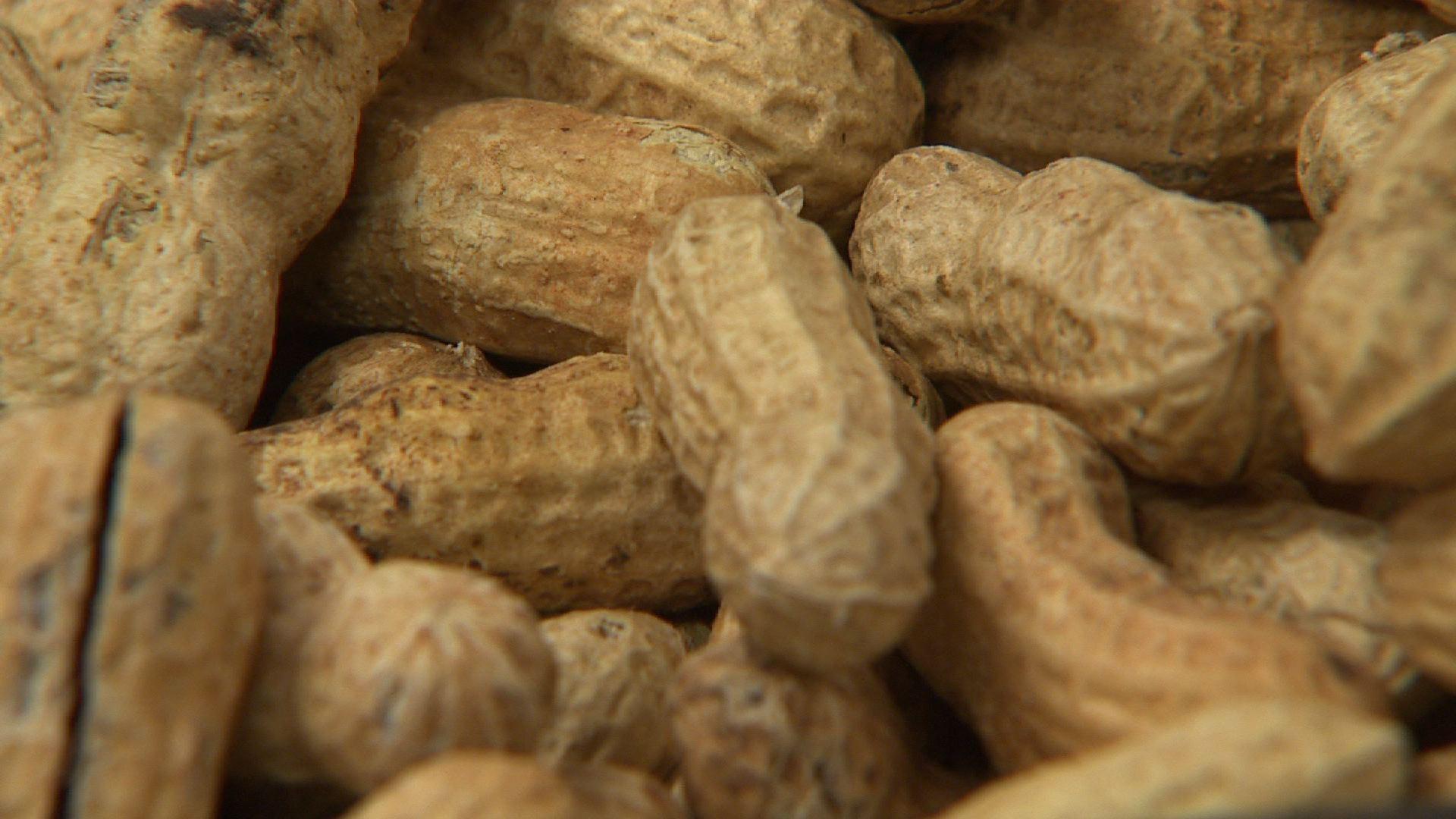 The Peanut Solution PBS LearningMedia