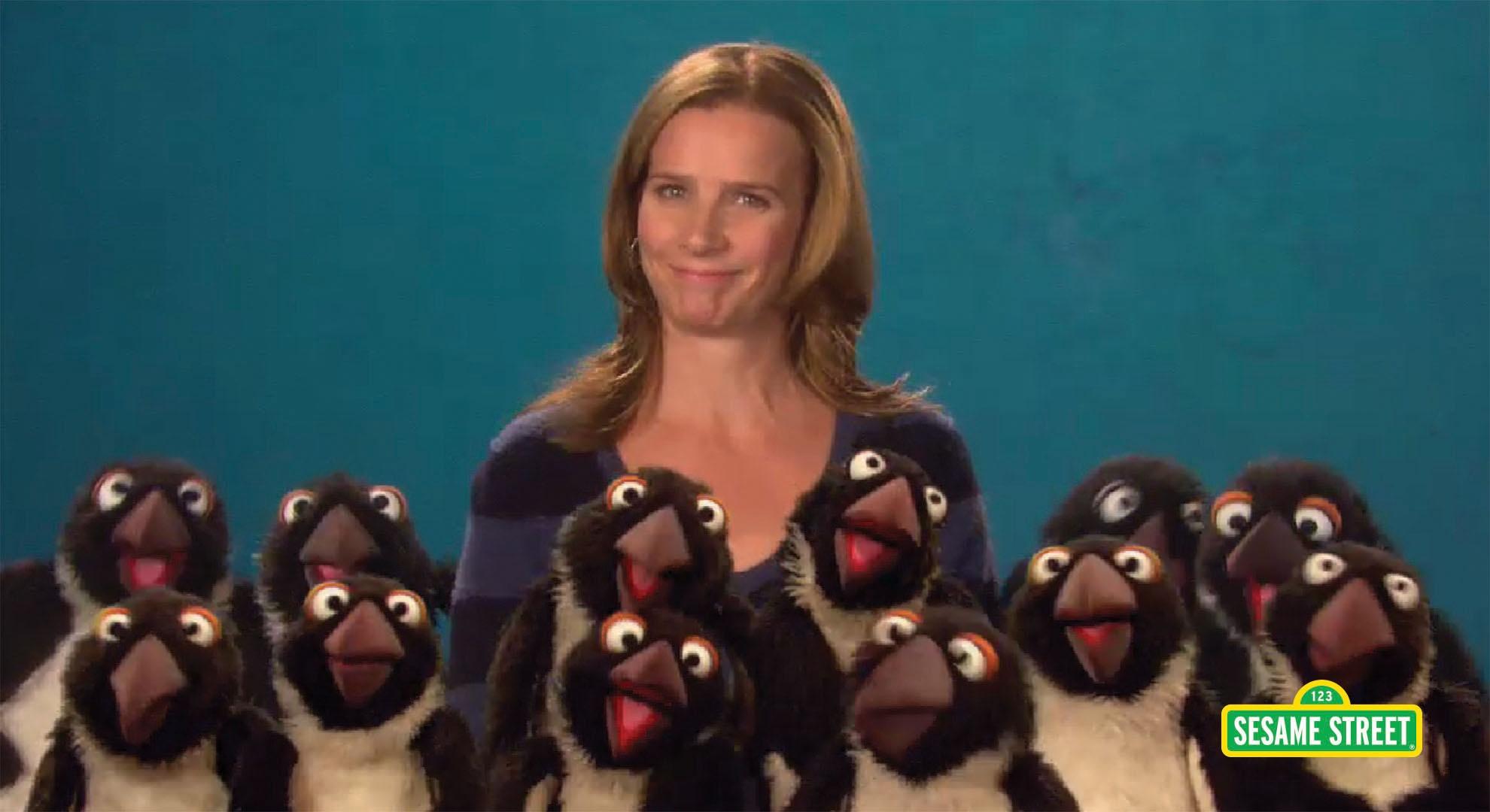 Rachel Griffiths Dozen Sesame Street Pbs Learningmedia