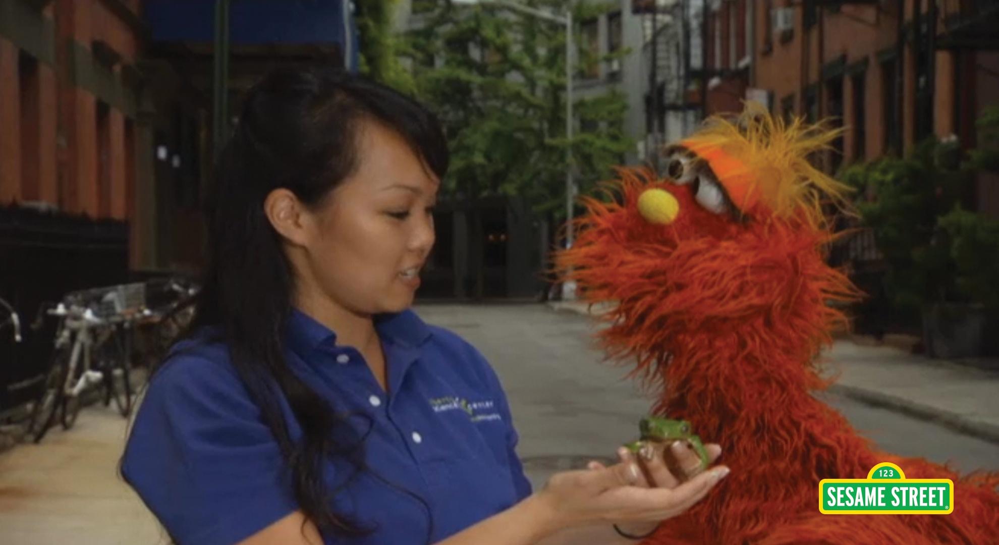 word-on-the-street-amphibian-with-murray-sesame-street-pbs