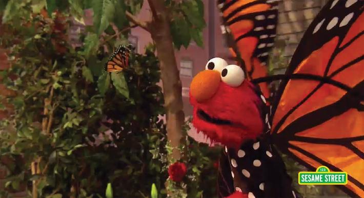 Bugs Song | Sesame Street | Preschool | Video | PBS LearningMedia