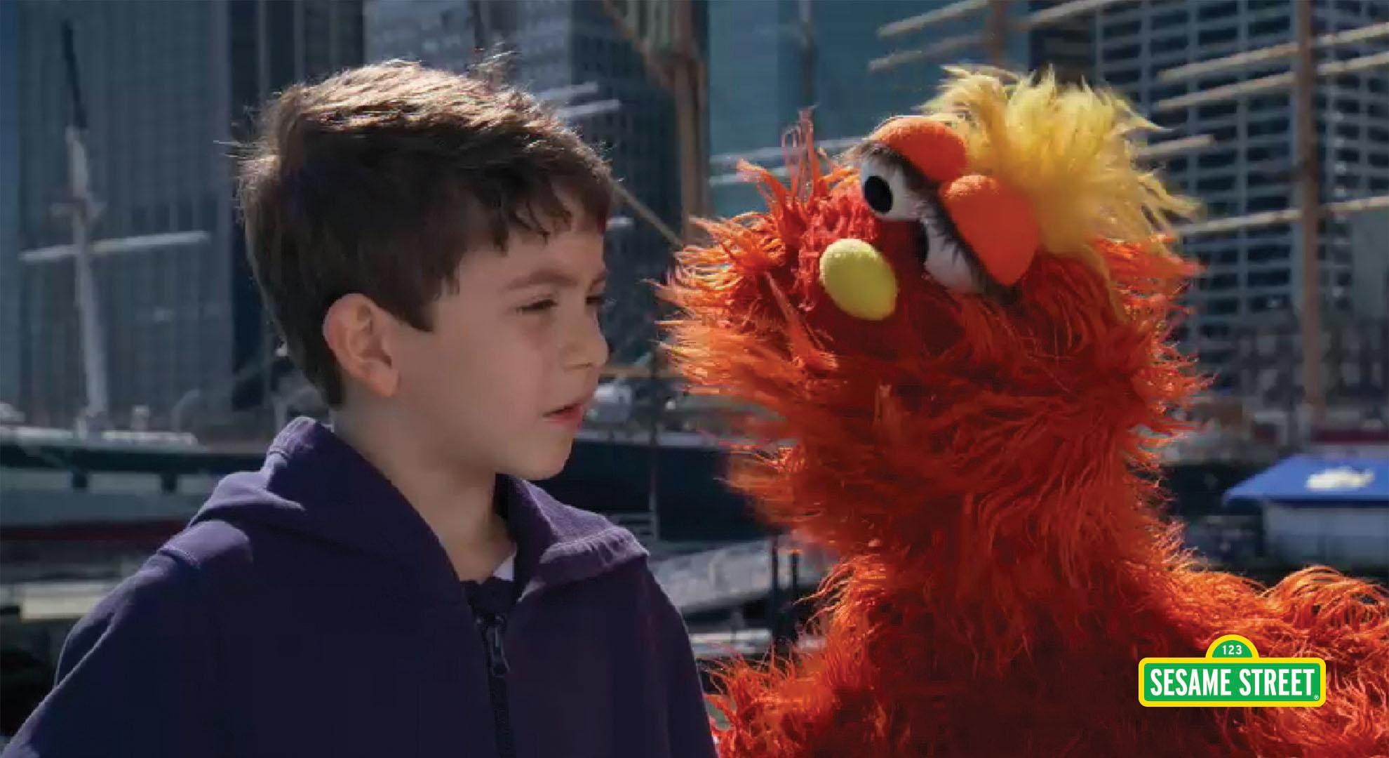 Word on the Street: Veterinarian with Murray | Sesame Street | PBS ...