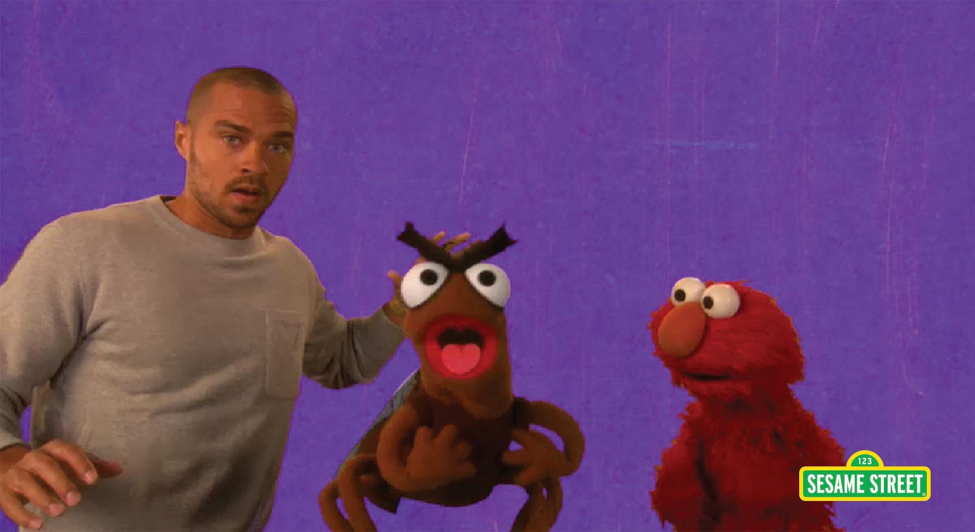 Jesse Williams: Furious | Sesame Street | PBS LearningMedia