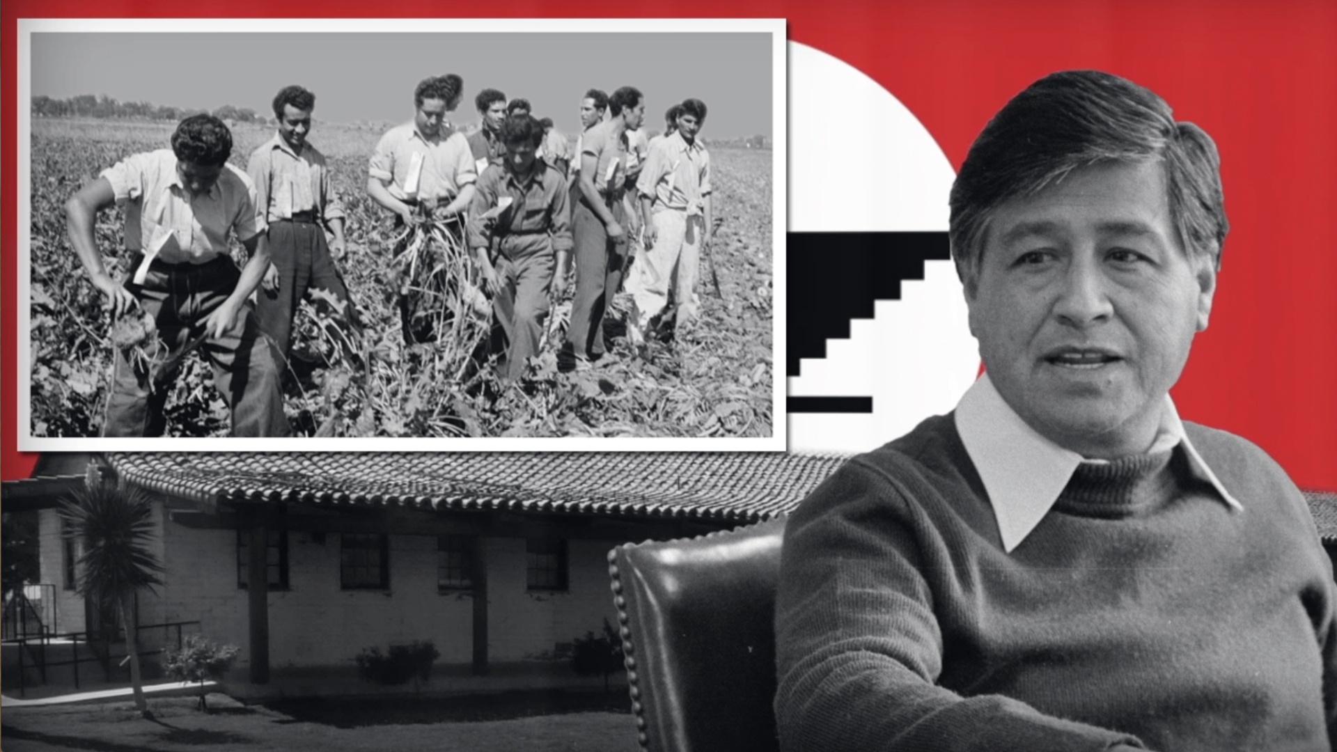 Cesar Chavez | Labor Leader and Civil Rights Activist Video | PBS LearningMedia