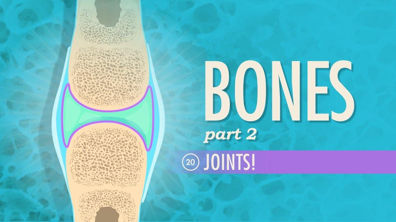 Joints Crash Course A&P 20 PBS LearningMedia