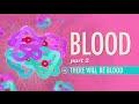 Blood Part 1 True Blood Crash Course A&p #29 Blood Vessels, Part 1: Form and Function | Crash Course A&P 27