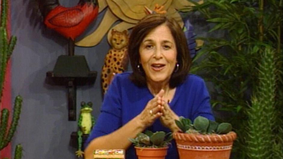 ¡Arte y más! Lesson 18 PBS LearningMedia