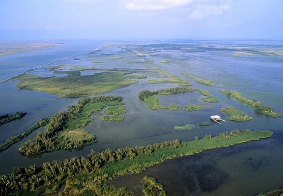 Mississipi River Delta in the Gulf of Mexico | Earth's Surface ...