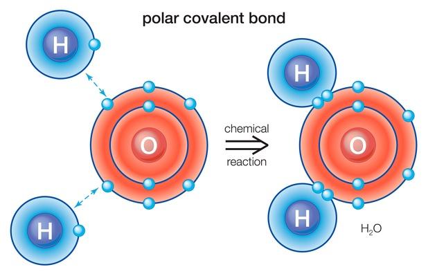 What Holds a Molecule Together? | Science | Video | PBS LearningMedia