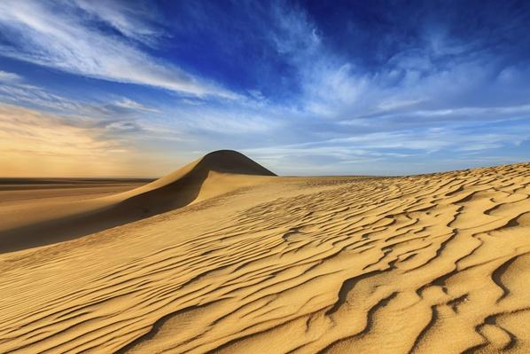 Morocco, Sahara desert, Camel caravan going to dune in ...