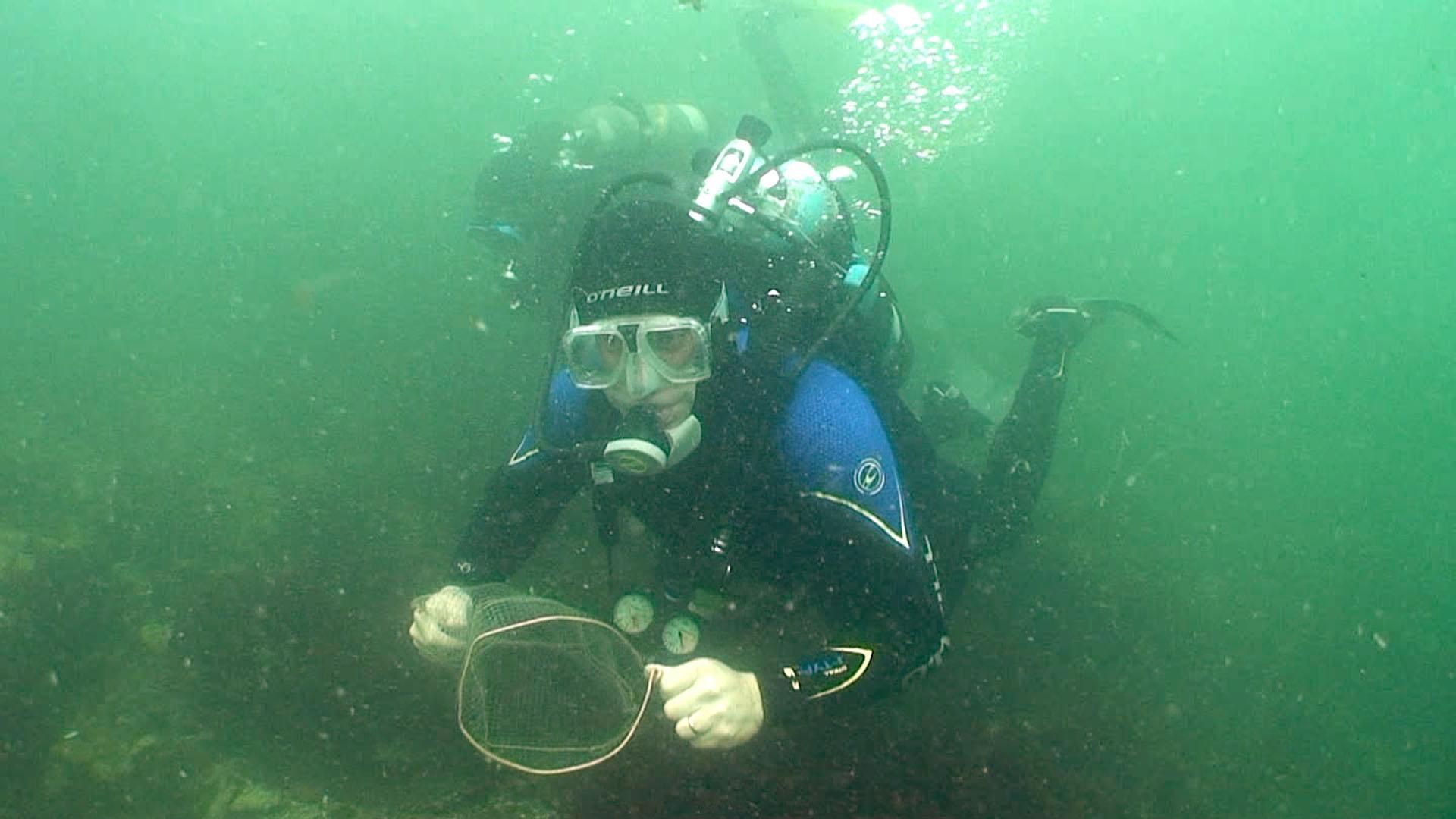 Tropical Fish Rescue PBS LearningMedia