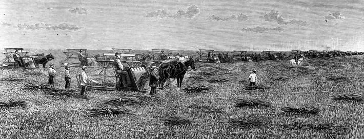 American agriculture 1880 1910 essay example image