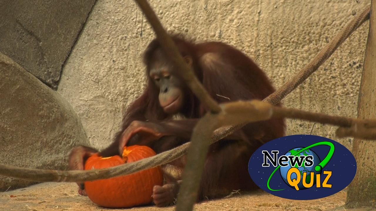 October 26, 2023 News Quiz PBS LearningMedia