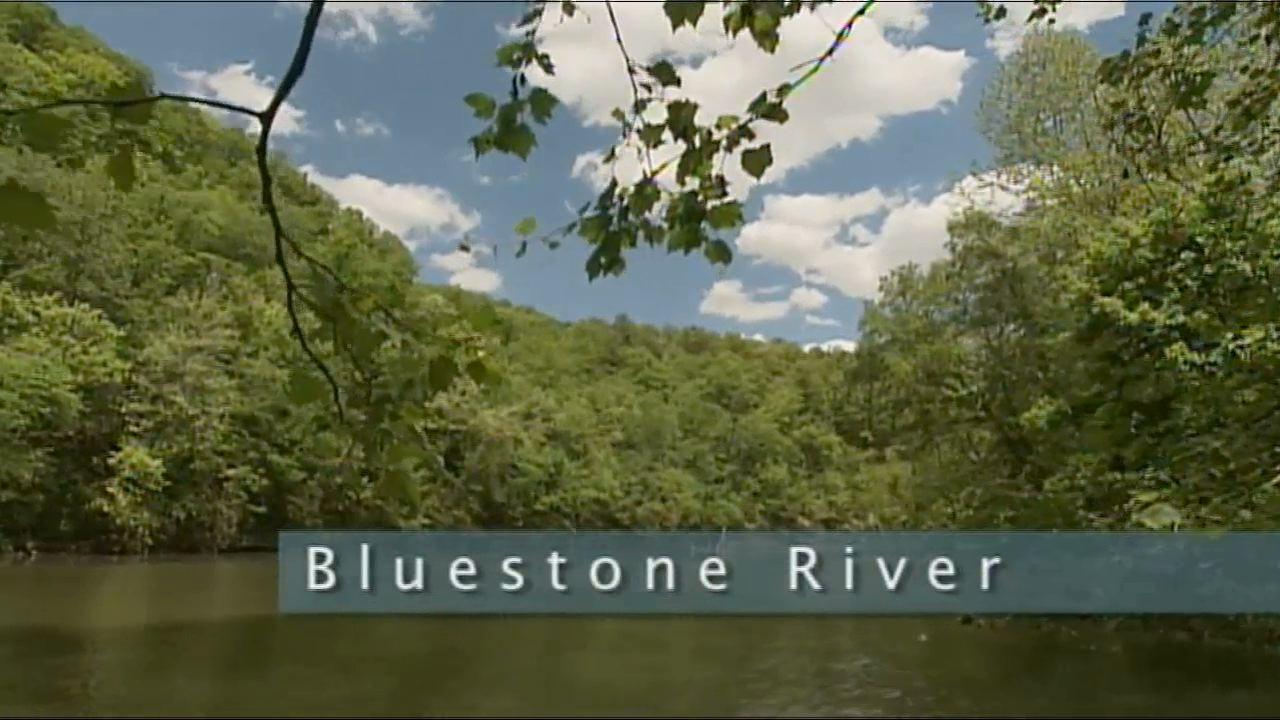 Bluestone: Rivers and Deltas Create a Versatile American Sandstone