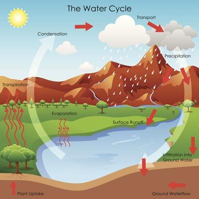 Water Cycle | Earth's Surface | Science | Image | PBS LearningMedia