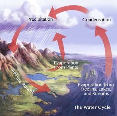 Water Vapor Fuels Hurricanes | Science | Video | PBS LearningMedia