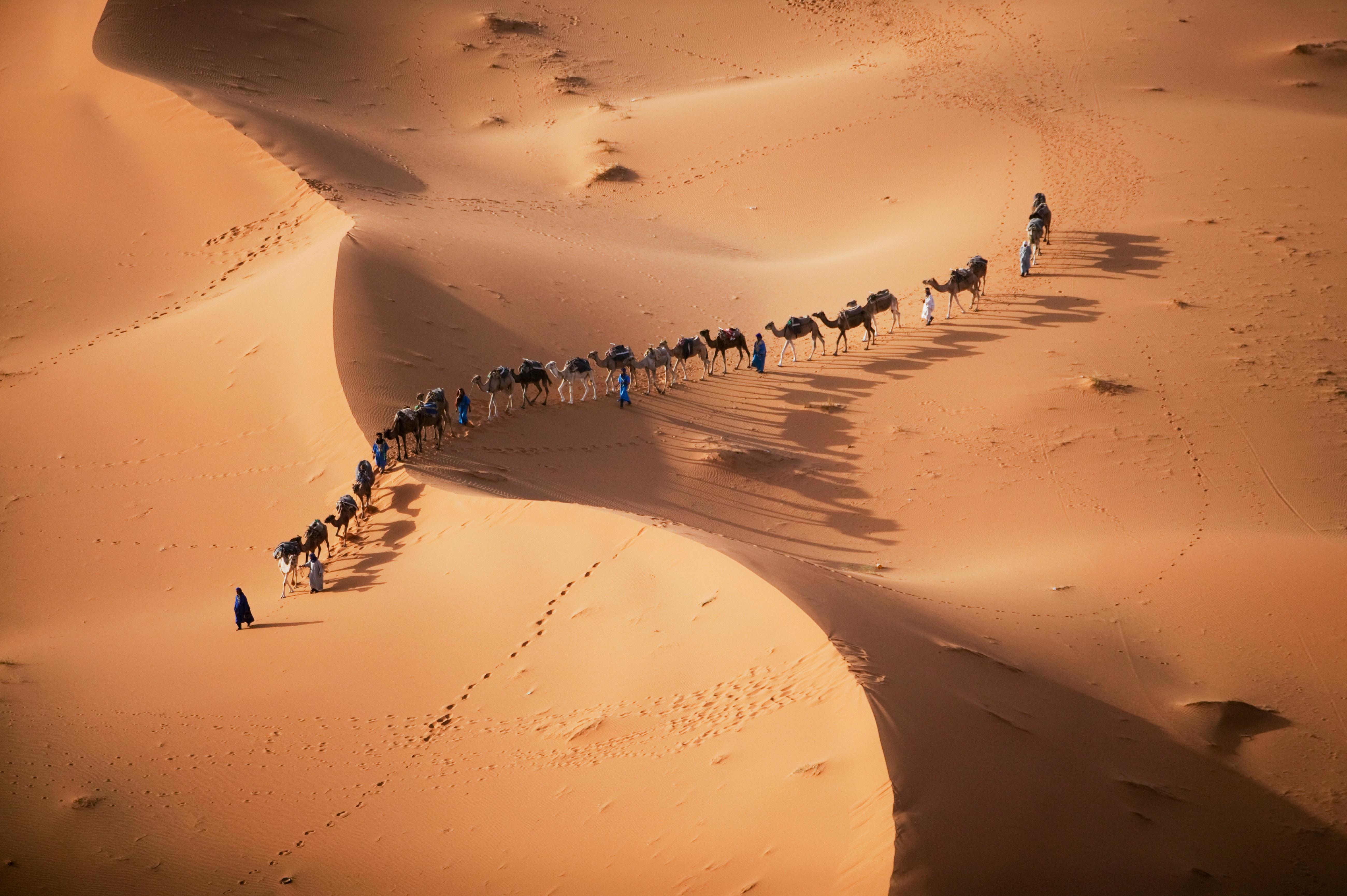 Sahara Desert Caravan Pbs Learningmedia