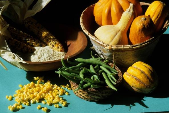 USA, traditional Cherokee foods such as pumpkin, squash ...