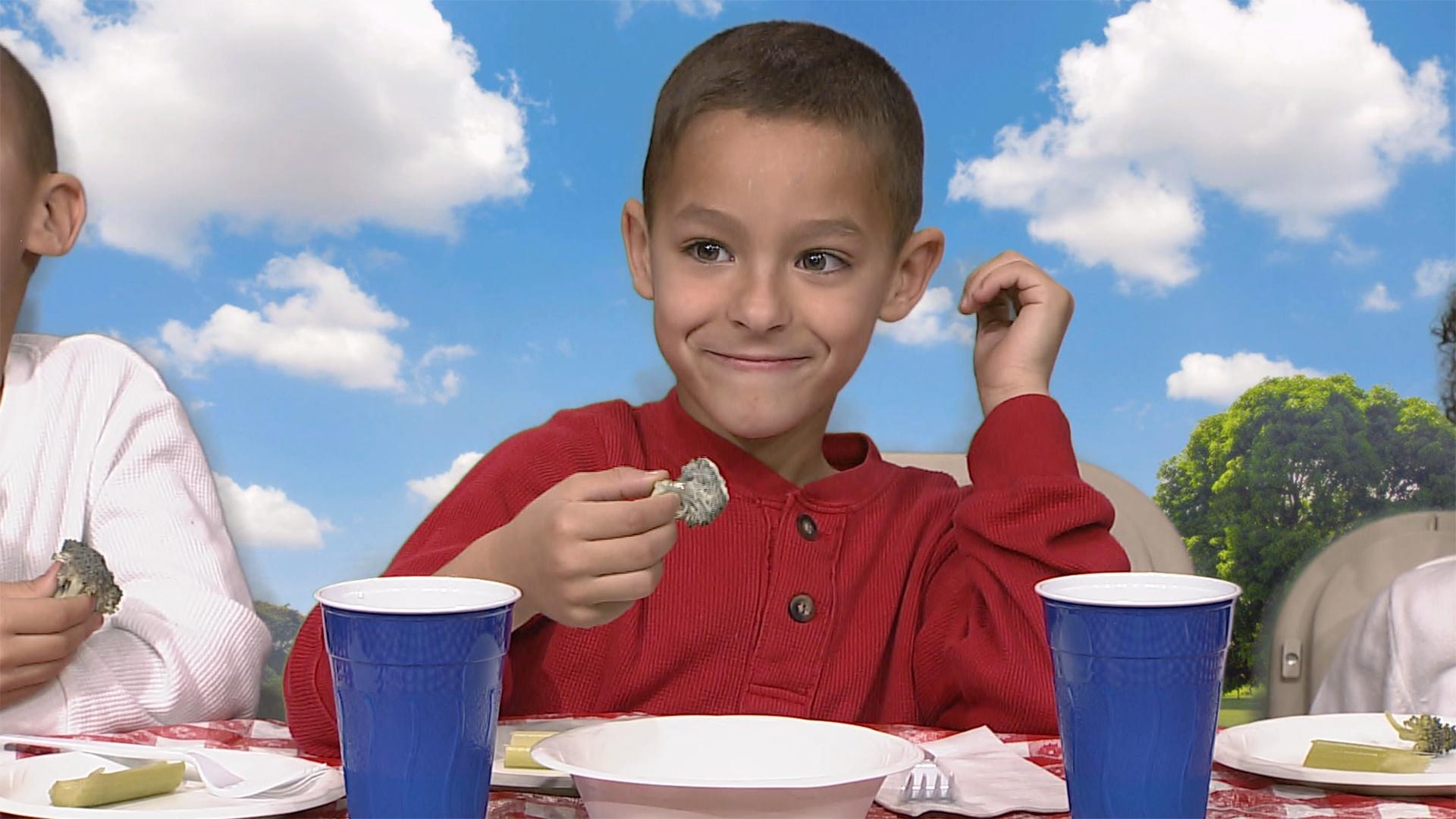Perfect Picnic Everyday Learning PBS LearningMedia