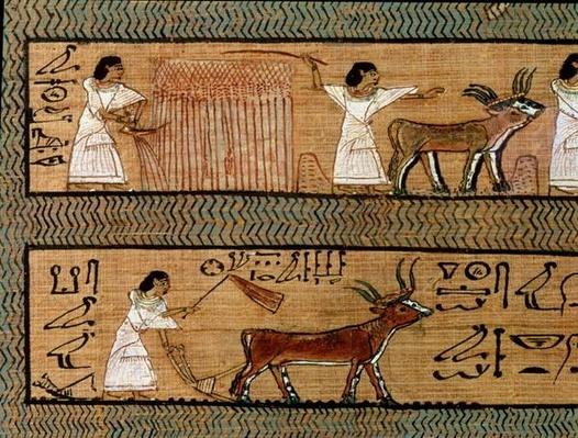 The Weighing Of The Heart Against Maat S Feather Of Truth From The Book Of The Dead Of The