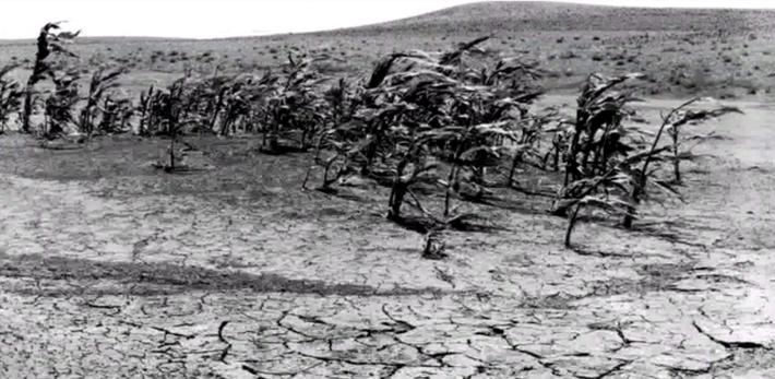 Environmental Catastrophe | Ken Burns: The Dust Bowl | Social Studies ...