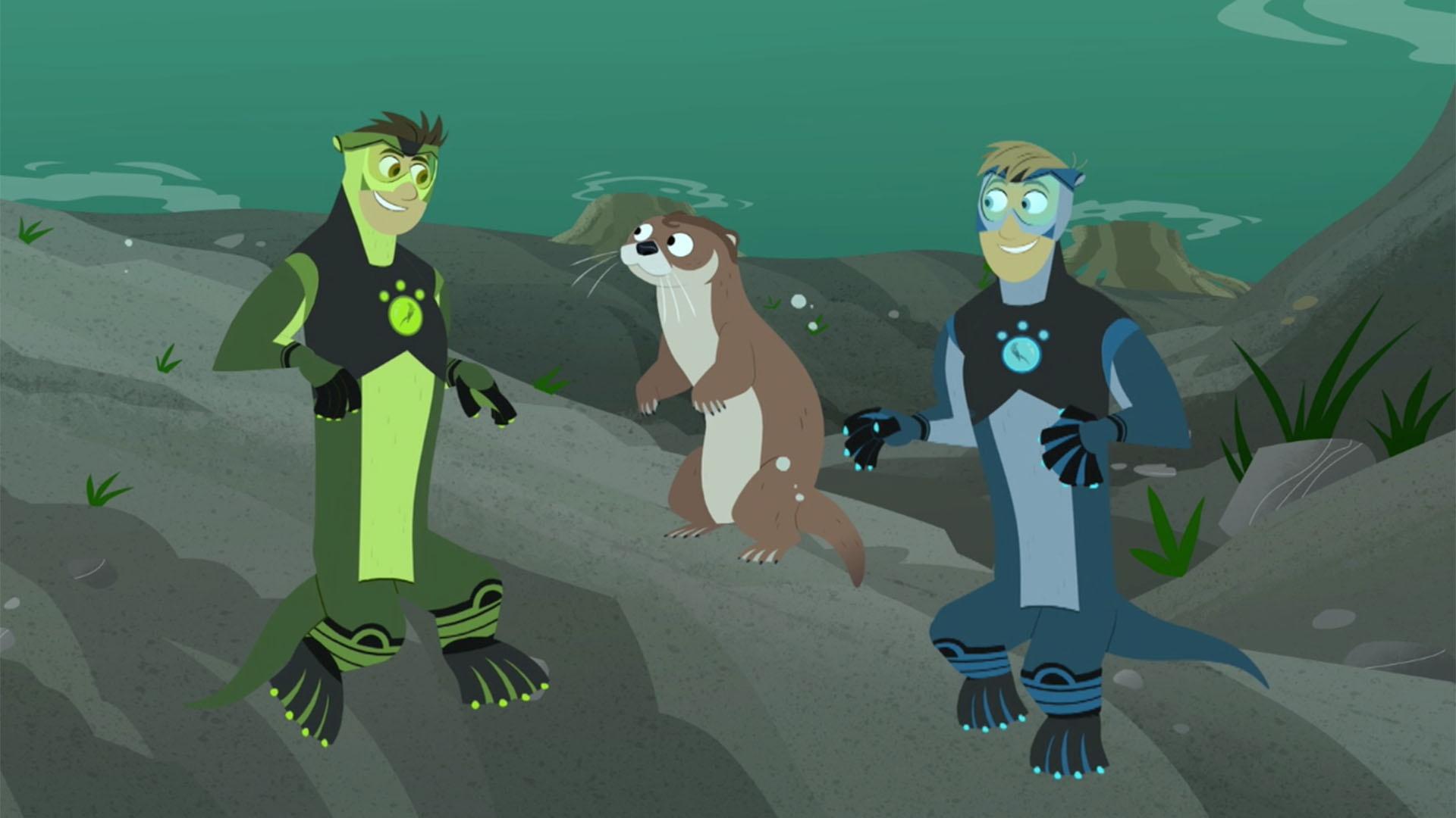 Sea Otter Power Wild Kratts Wiki Fandom | atelier-yuwa.ciao.jp