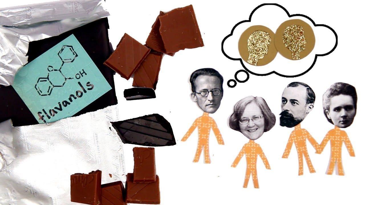 Can Chocolate Make You Smarter BrainCraft PBS LearningMedia