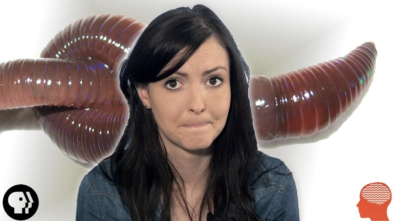 Why Do We Find Things Disgusting Q A BrainCraft PBS LearningMedia