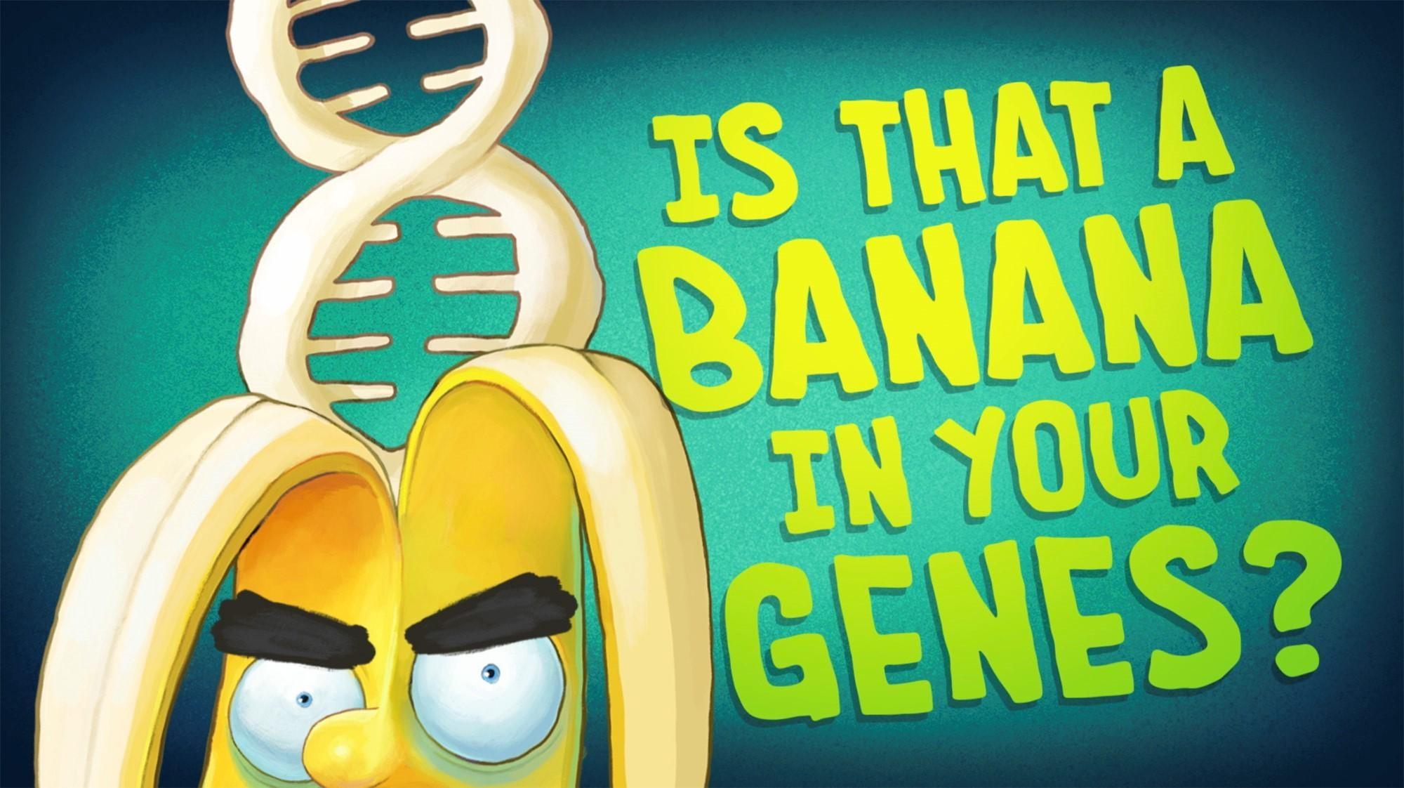 how many genes do we have in common with a banana