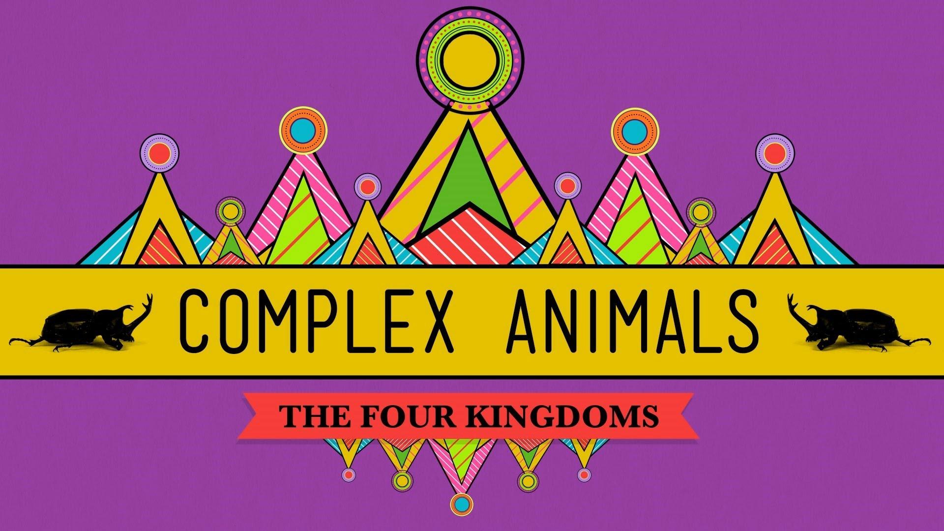 Complex Animals: Annelids & Arthropods | Crash Course Biology | PBS  LearningMedia