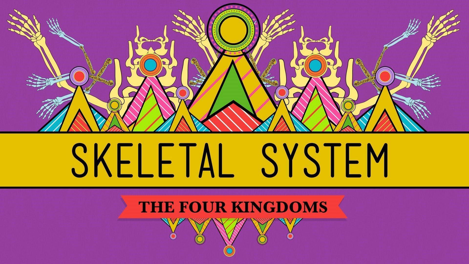 The Skeletal System Crash Course A&p 19 The Skeletal System: It's ALIVE! | Crash Course Biology | PBS LearningMedia