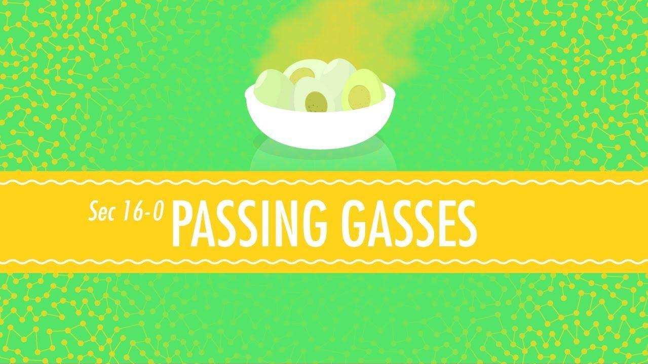 Passing Gases Effusion, Diffusion and the Velocity of a Gas Crash