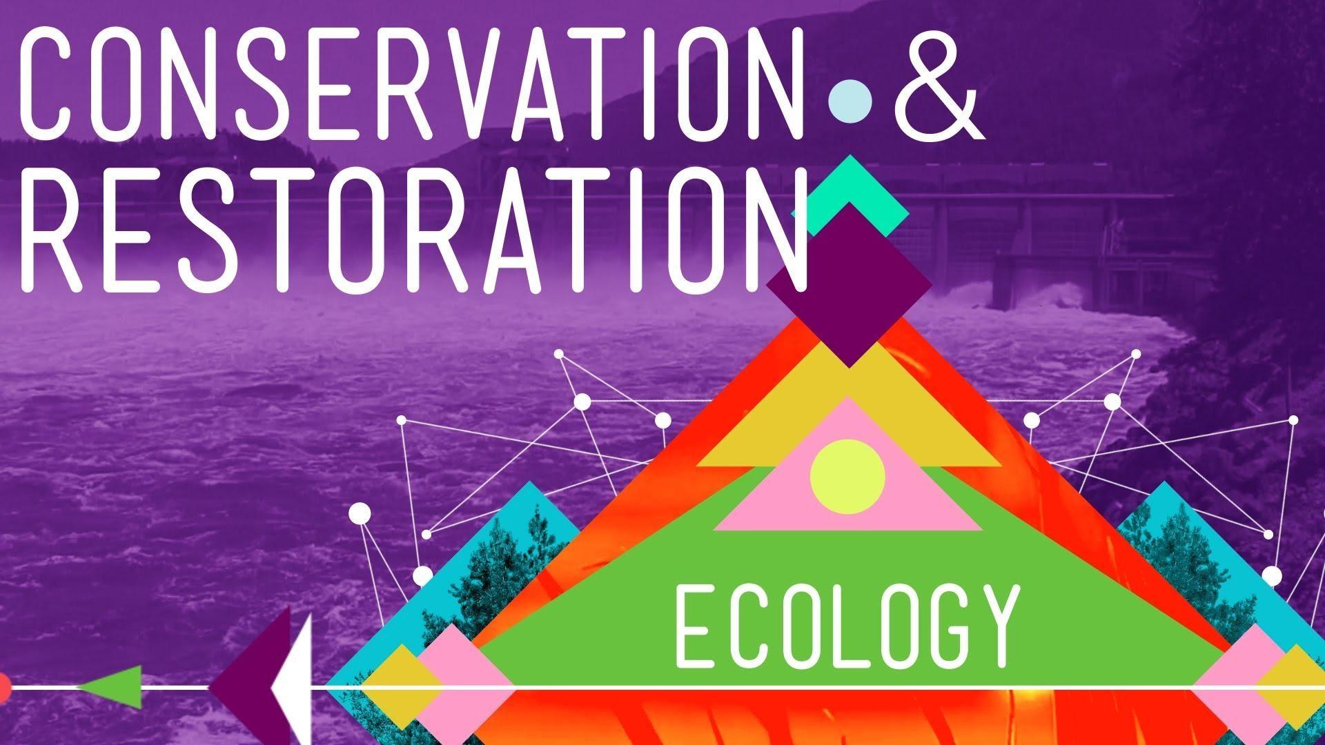 conservation-and-restoration-ecology-crash-course-ecology-pbs