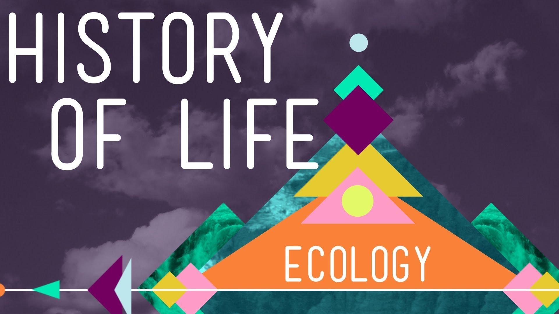 The History of Life on Earth | Crash Course Ecology | Grades 9-12 ...