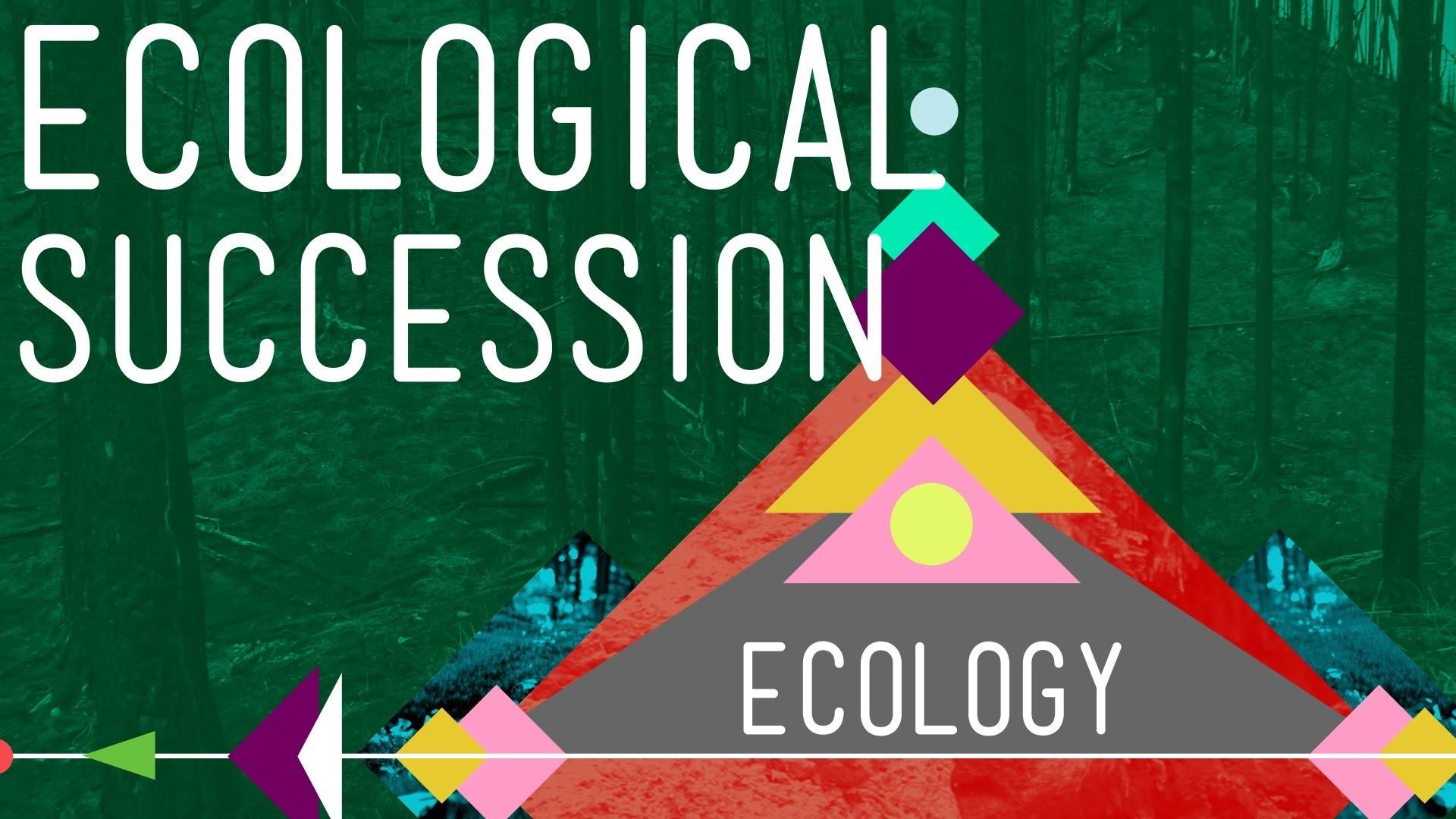 ecological-succession-change-is-good-crash-course-ecology-pbs-learningmedia