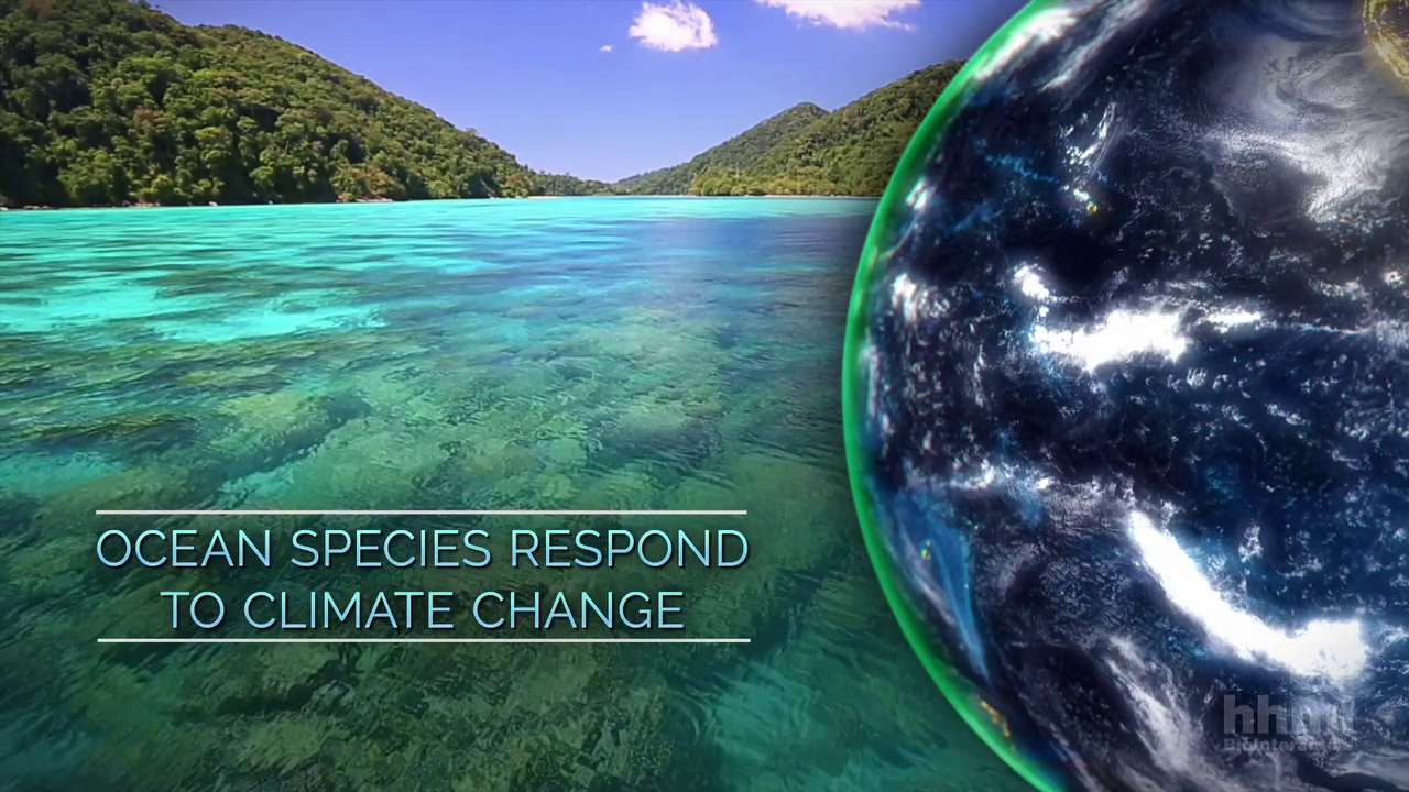 Ocean Species Respond to Climate Change: Stephen Palumbi Lecture | HHMI ...