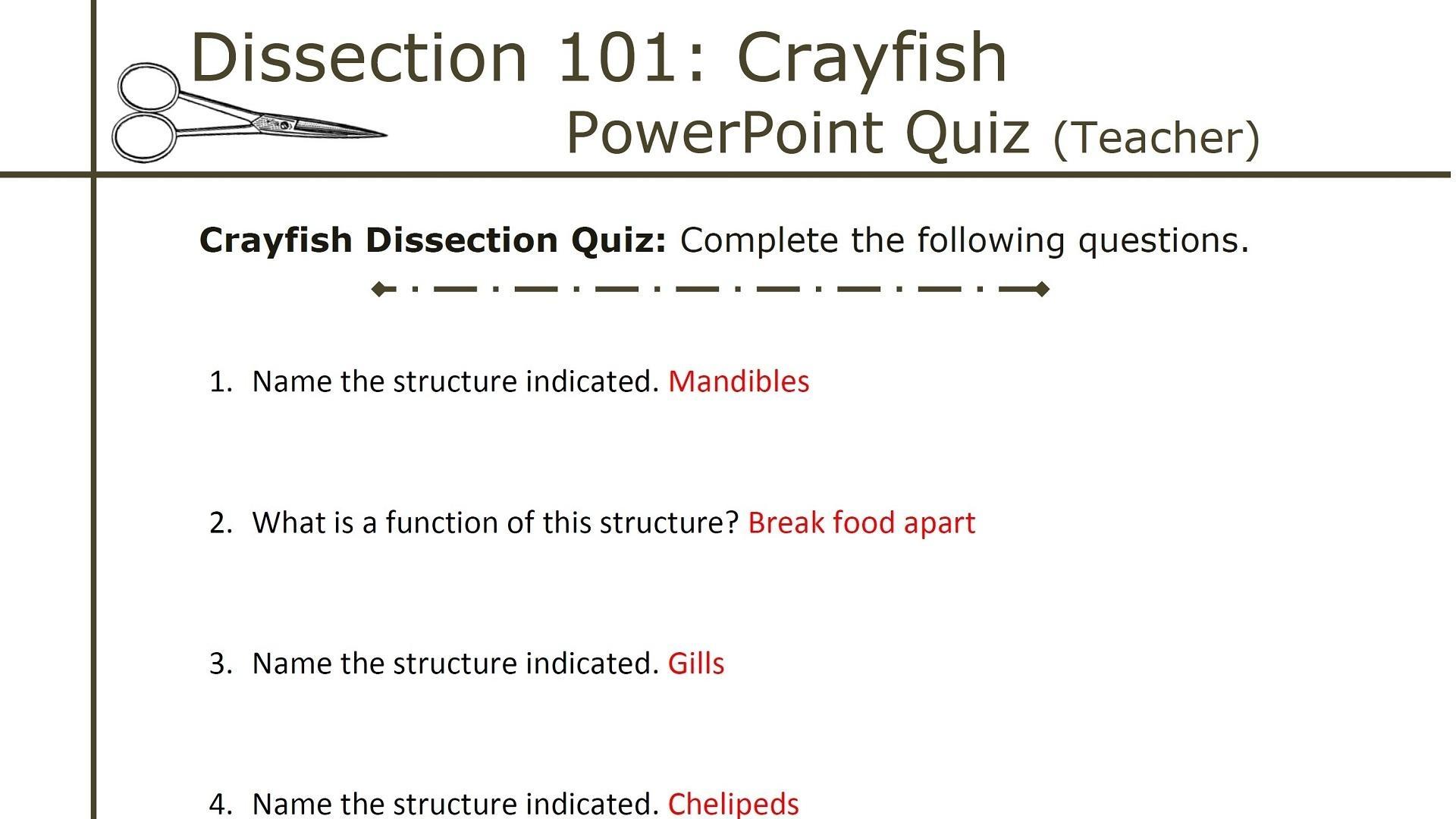 Bestseller: Crayfish Observation And Dissection Answer Key