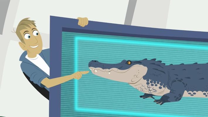 Team Alligator | Wild Kratts | Science | Video | PBS LearningMedia
