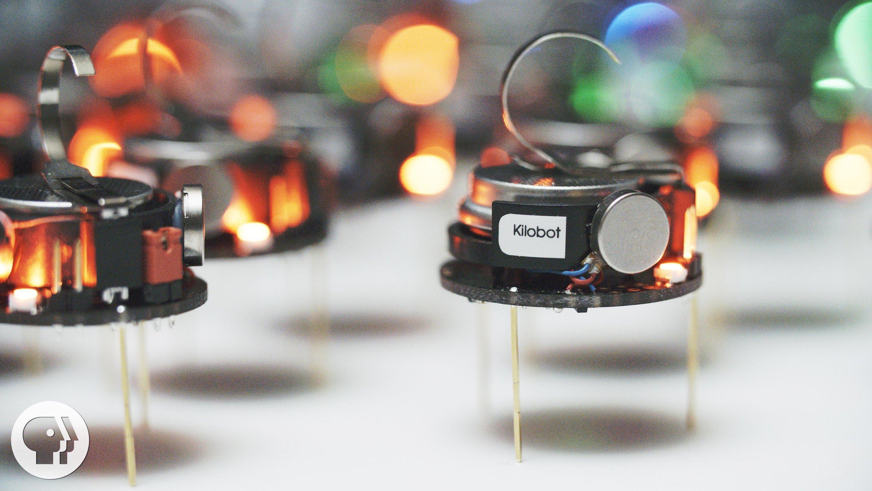 Can a Thousand Tiny Swarming Robots Outsmart Nature? | Deep Look ...