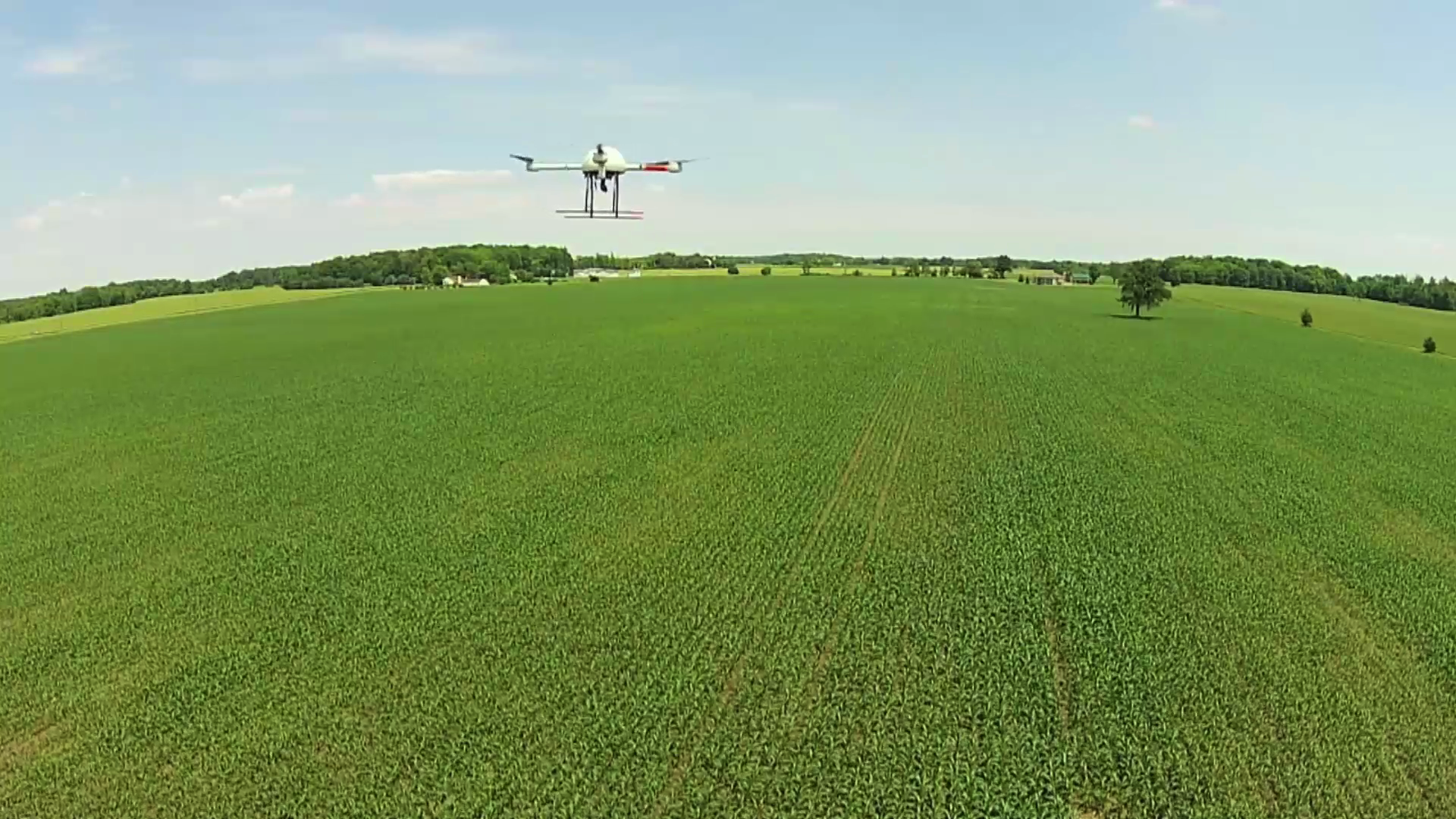 What Are The Different Types of Drones Used in Agriculture