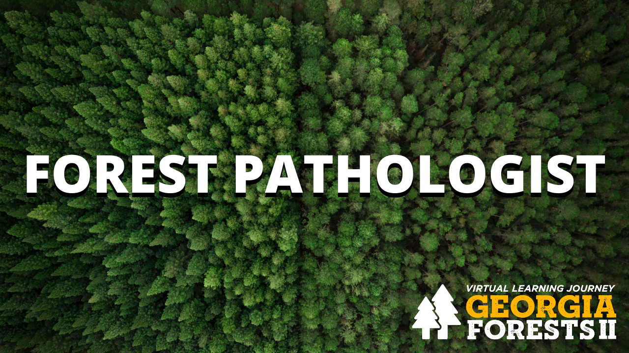 Forest Pathologist Forests II PBS LearningMedia